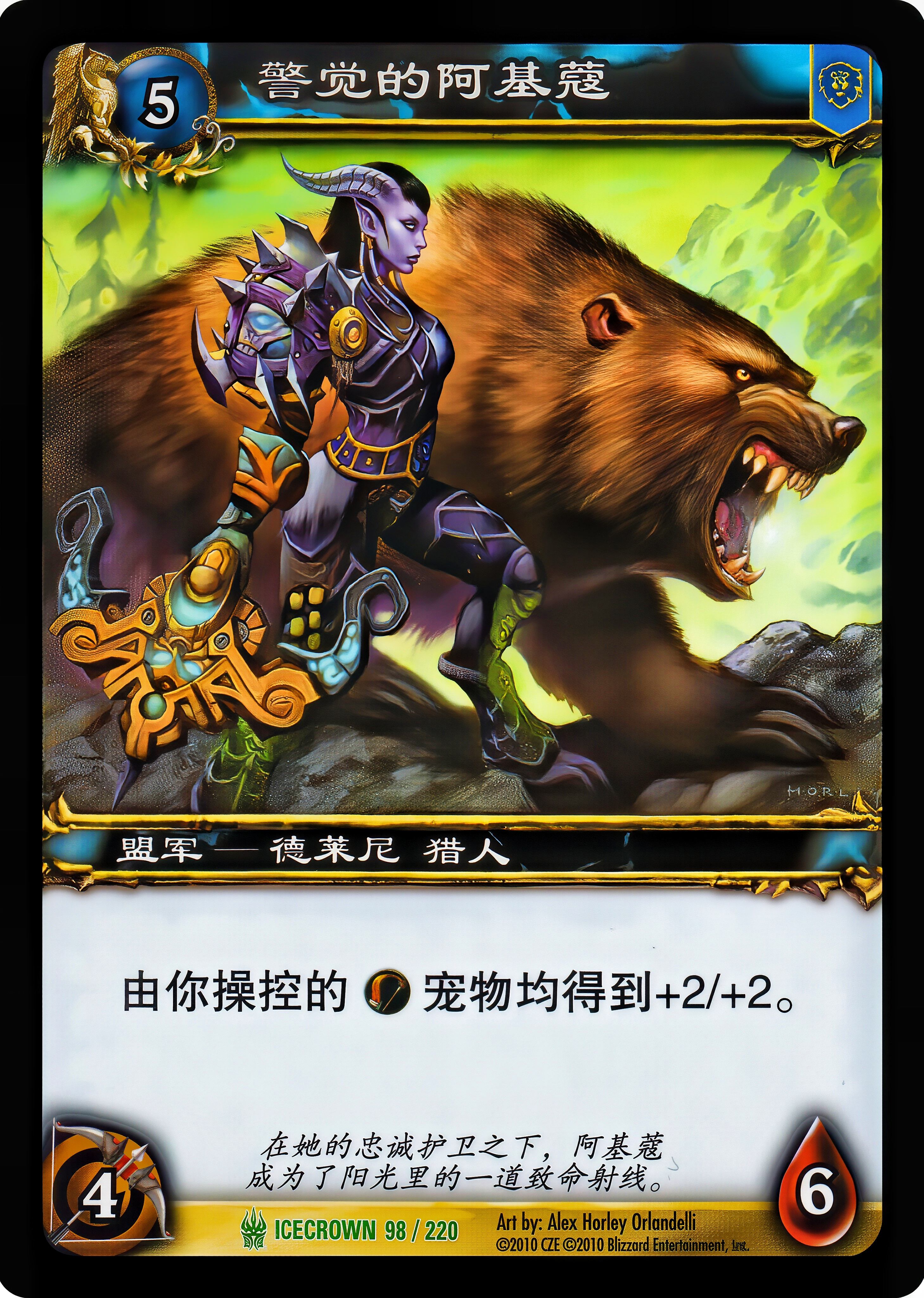 警觉的阿基蔻 中文图片