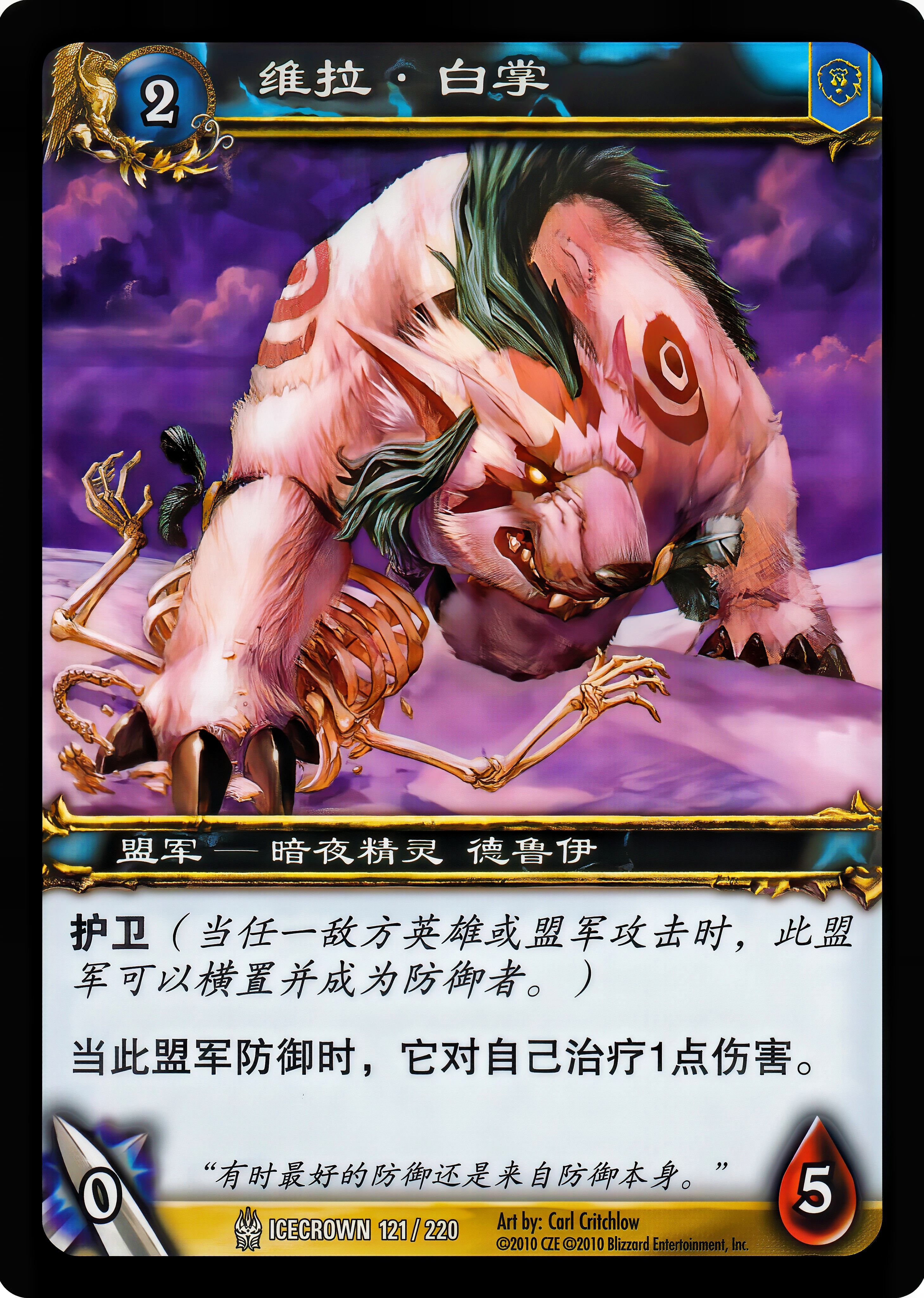维拉·白掌 中文图片