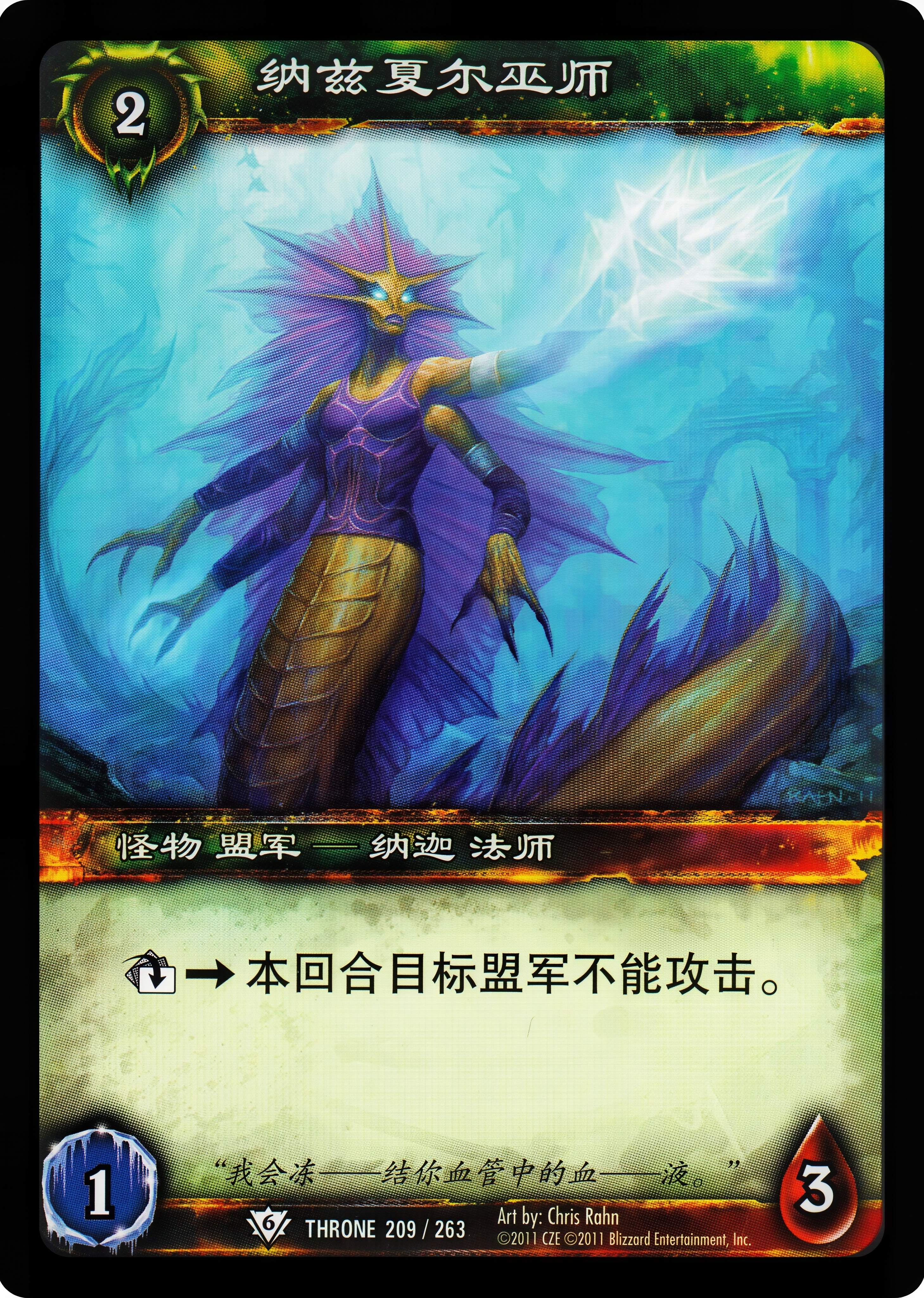 纳兹夏尔巫师 中文图片