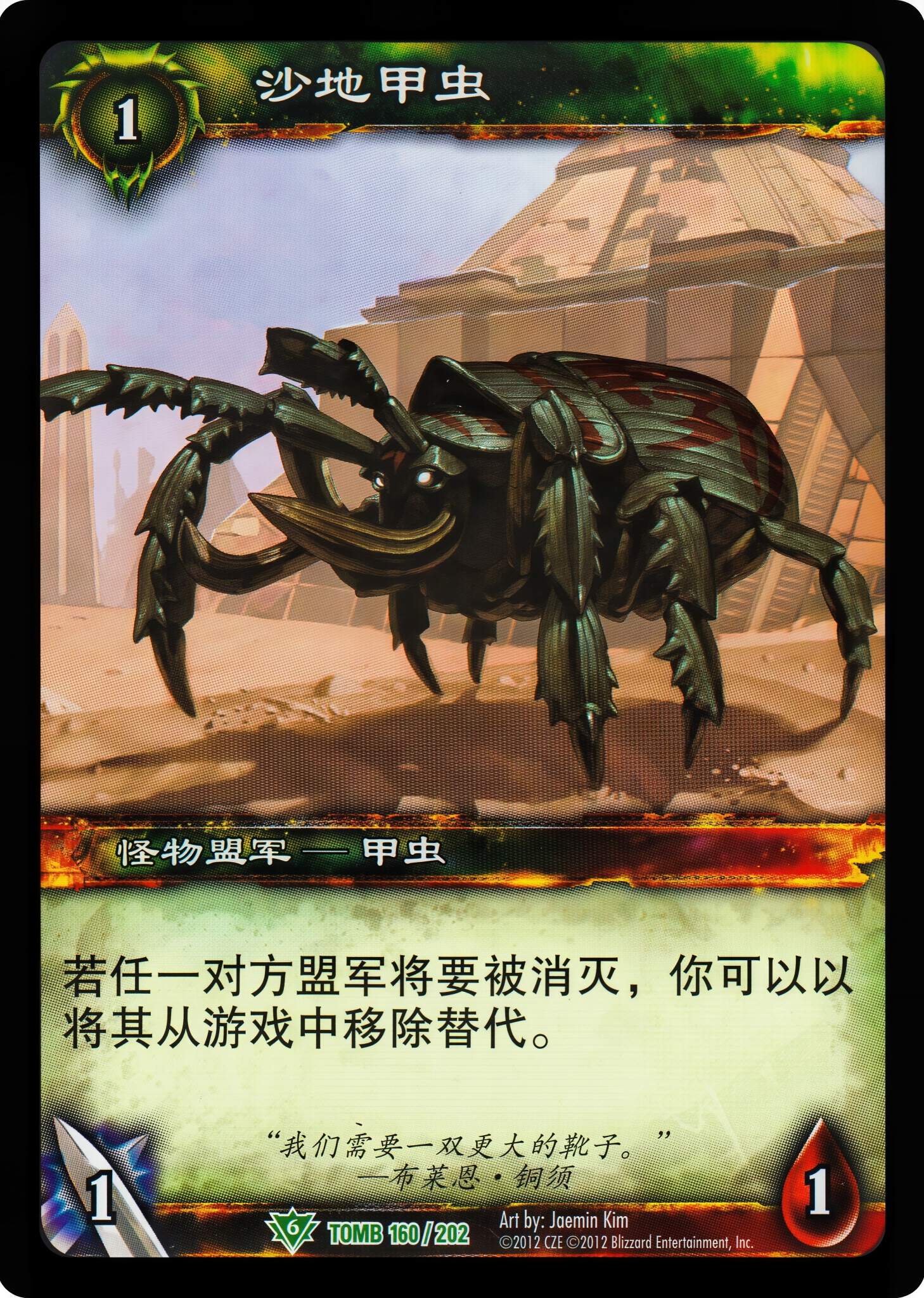 沙地甲虫 中文图片