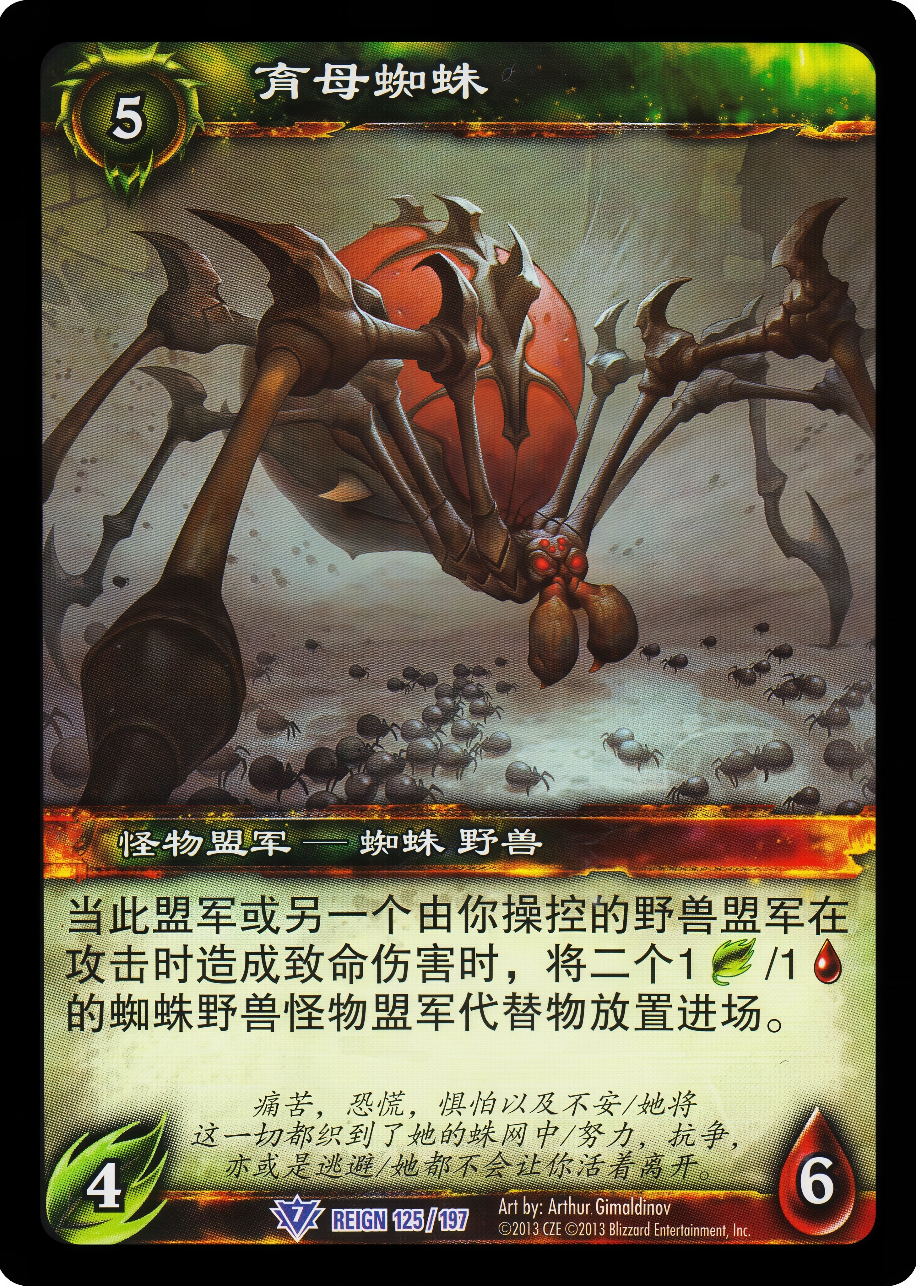 育母蜘蛛 中文图片