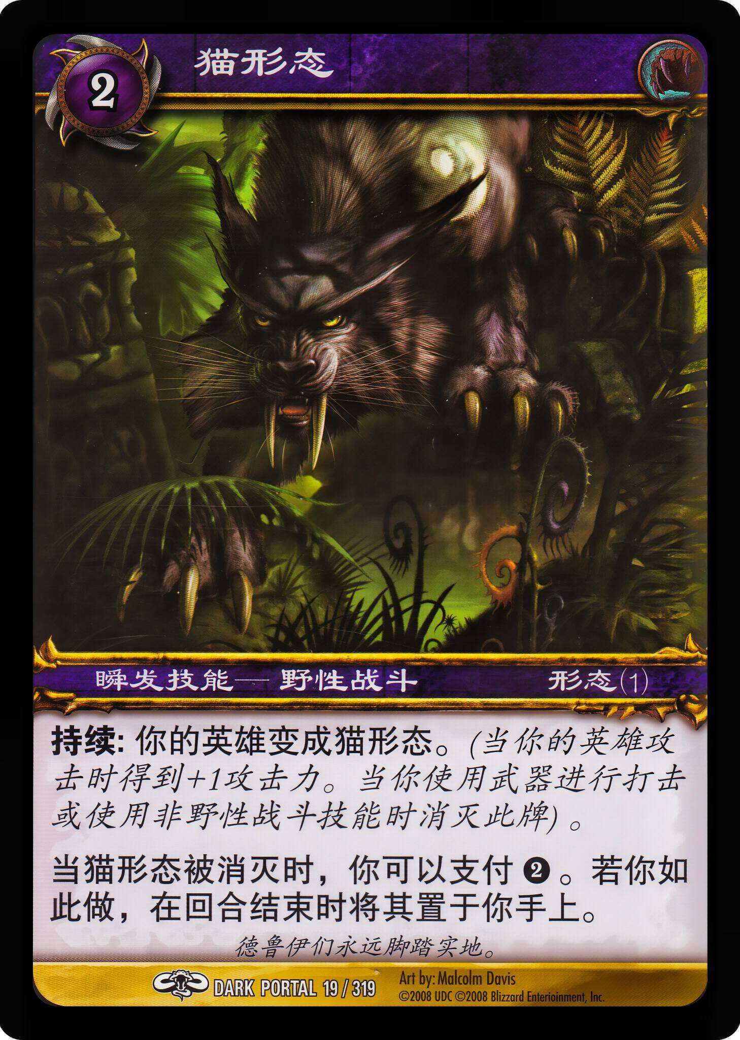 猫形态 中文图片