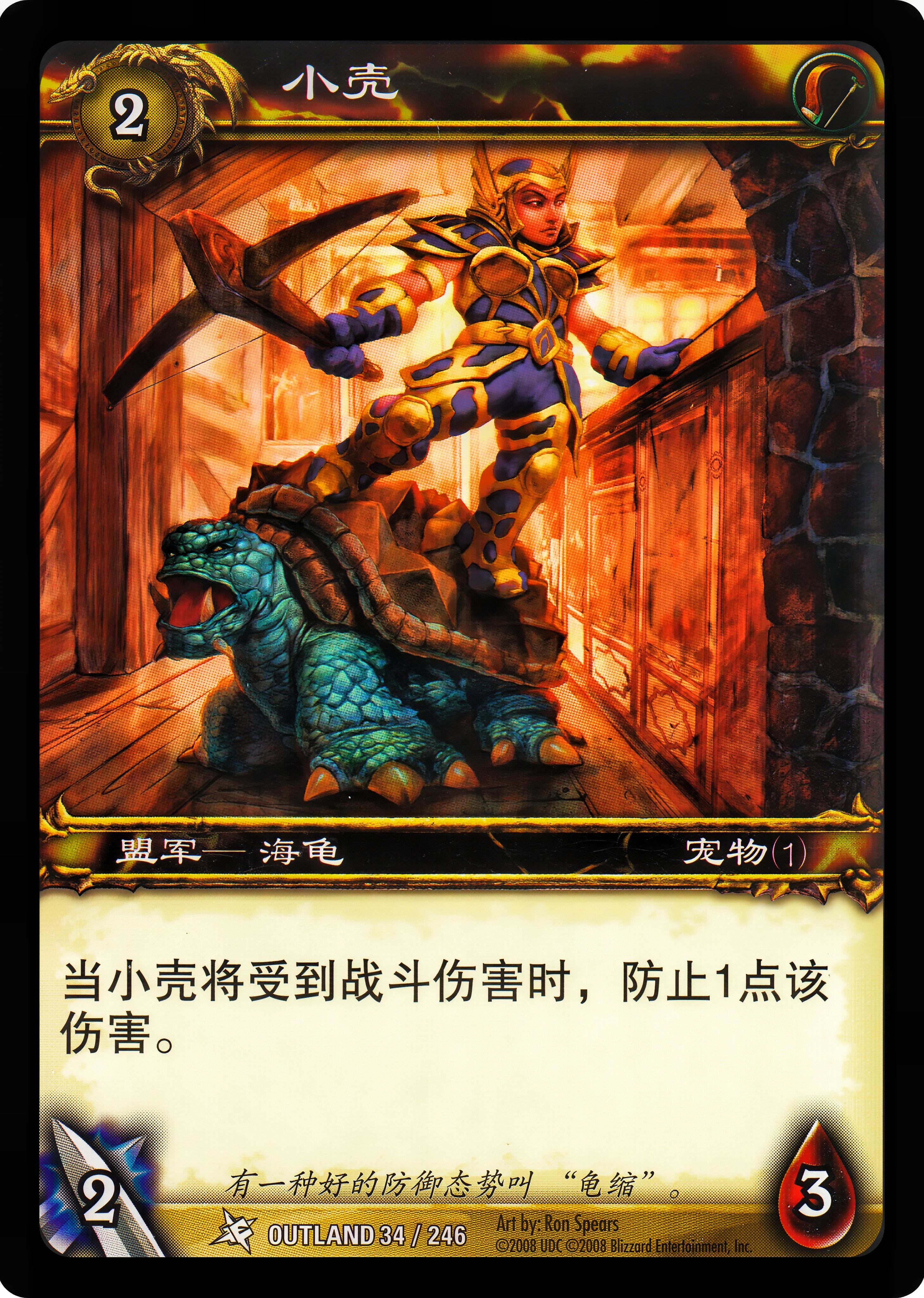 小壳 中文图片