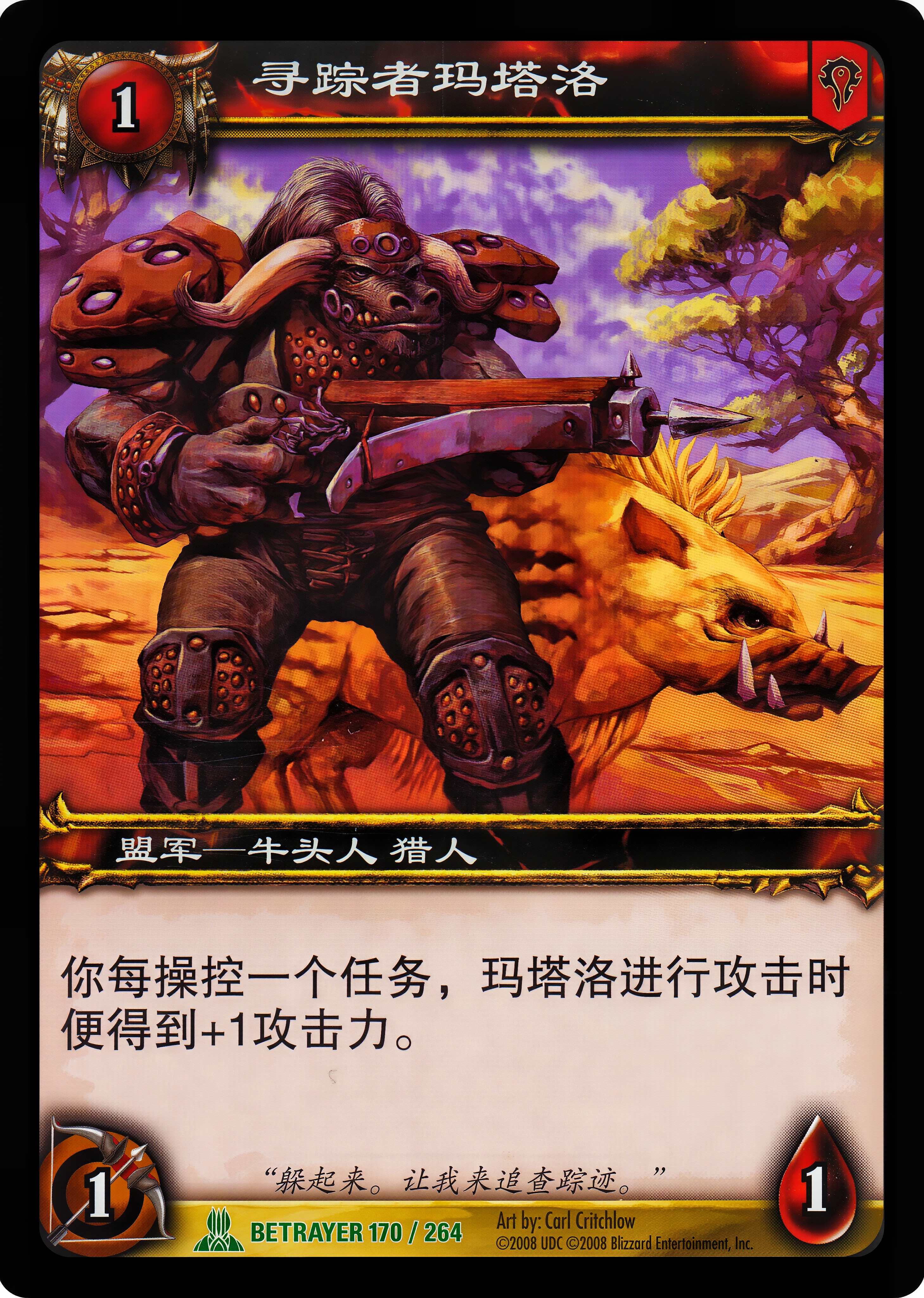 寻踪者玛塔洛 中文图片